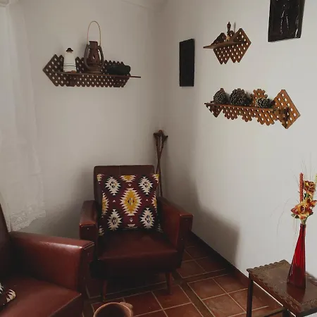 Canaria Hombre De Palo