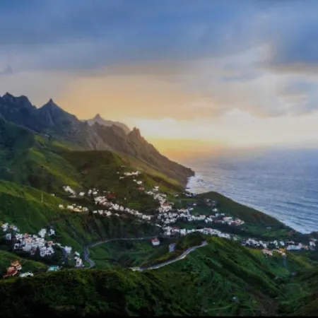 Canaria Hombre De Palo