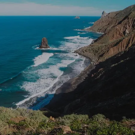 Canaria Hombre De Palo Santa Cruz de Tenerife