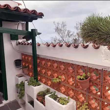 Canaria Hombre De Palo * Santa Cruz de Tenerife