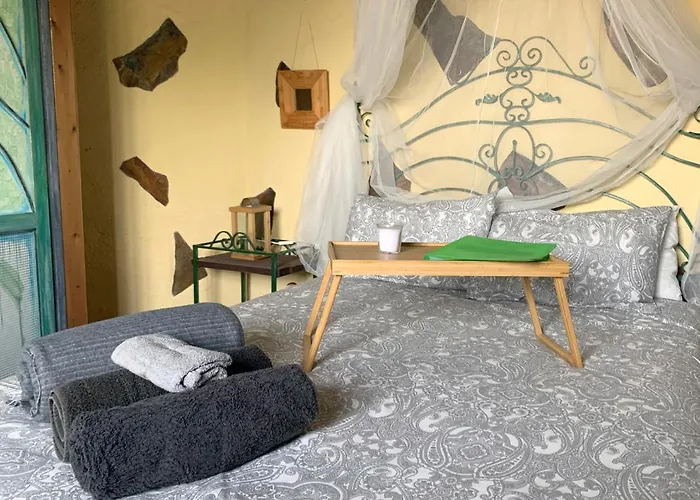 Canaria Hombre De Palo *