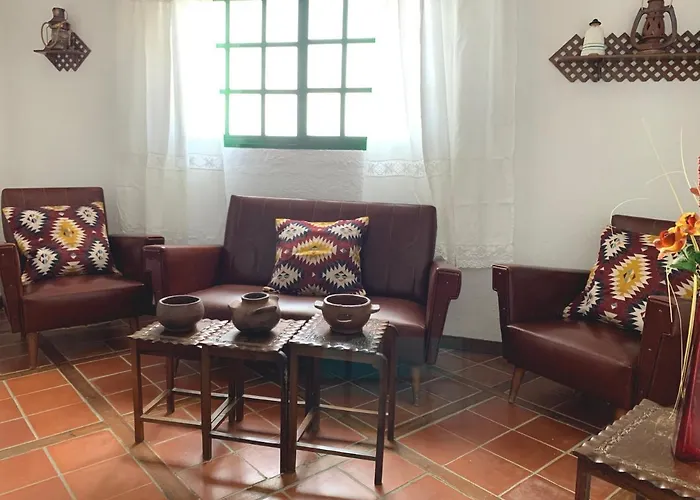 Canaria Hombre De Palo Santa Cruz de Tenerife