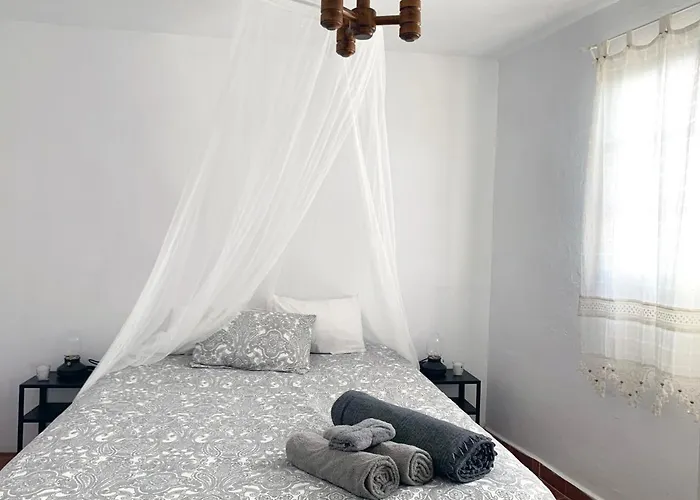 Canaria Hombre De Palo Lantställe