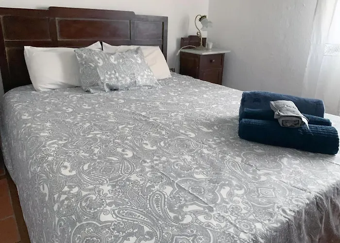 Lantställe Canaria Hombre De Palo