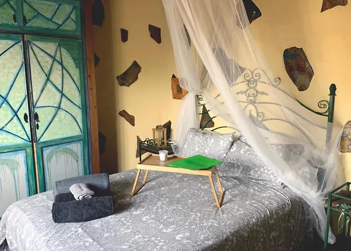 Canaria Hombre De Palo *