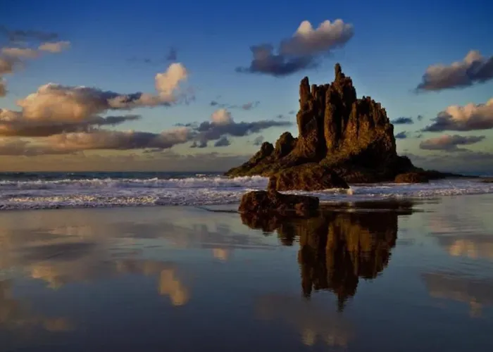 Canaria Hombre De Palo * Santa Cruz de Tenerife