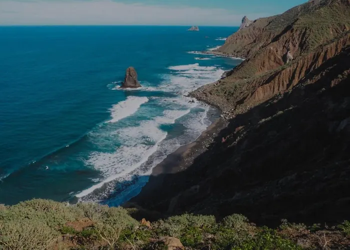 Canaria Hombre De Palo Santa Cruz de Tenerife